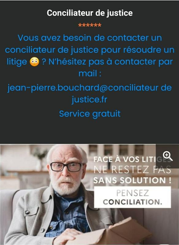 Conciliateur de justice