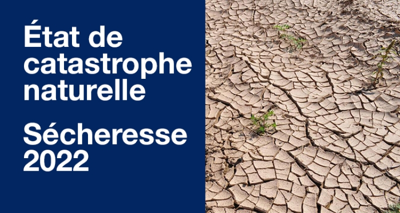 Etat catastrophe naturelle