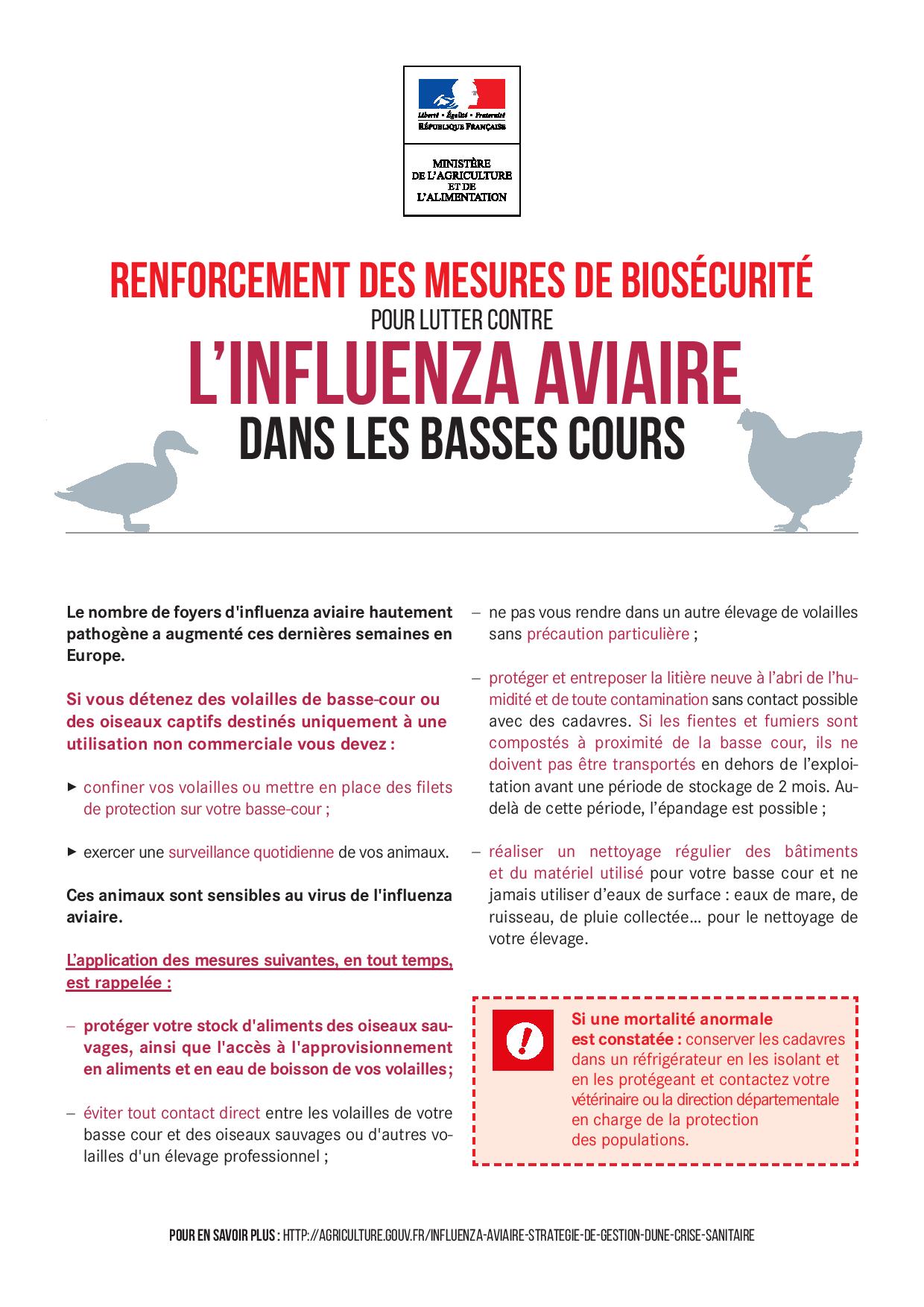 Influenza aviaire